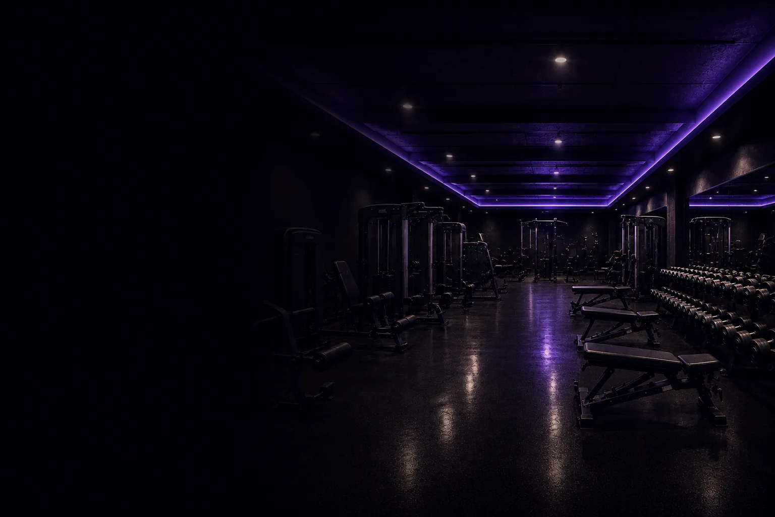 Modern gym interior with strength equipment lit in soft purple light
